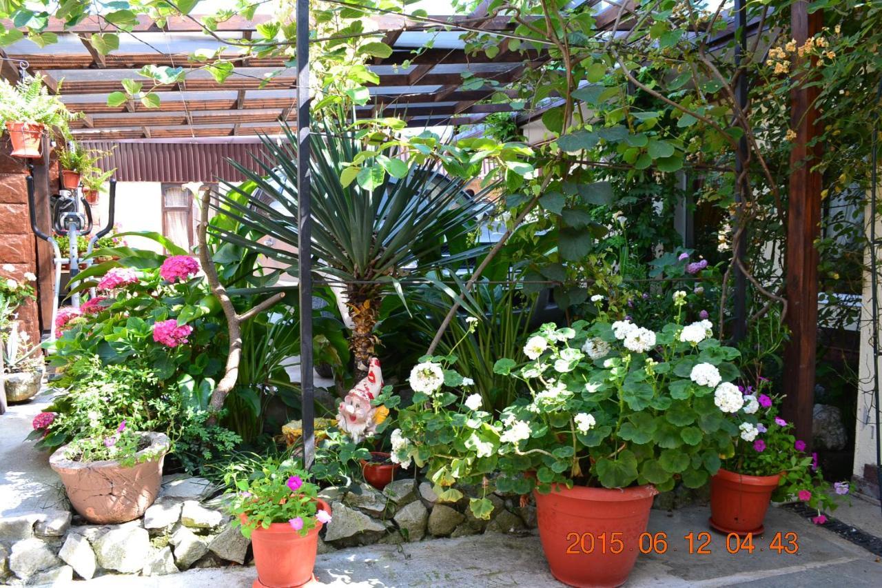 U Palycha Guest House Suchumi Zewnętrze zdjęcie