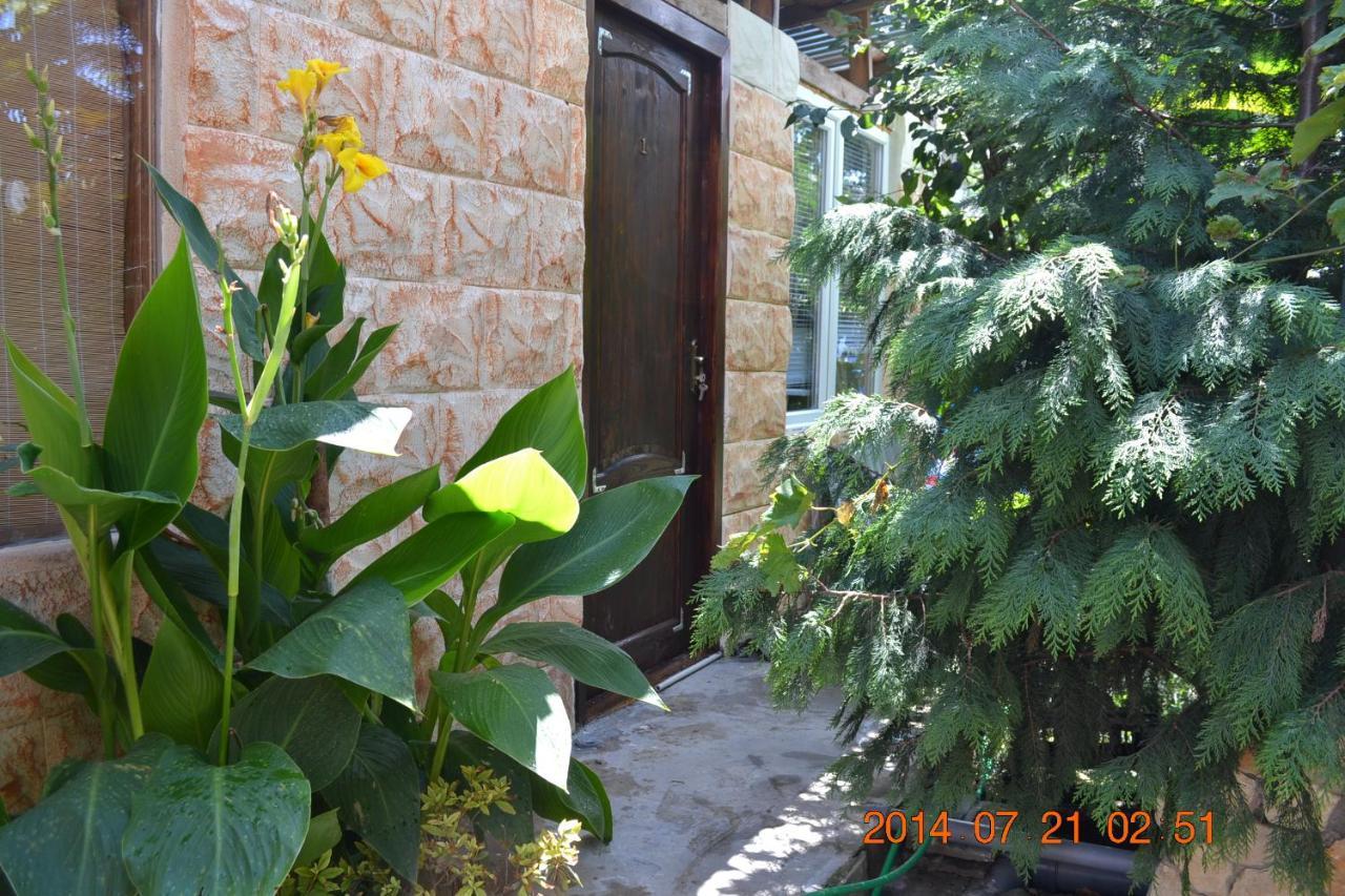 U Palycha Guest House Suchumi Zewnętrze zdjęcie