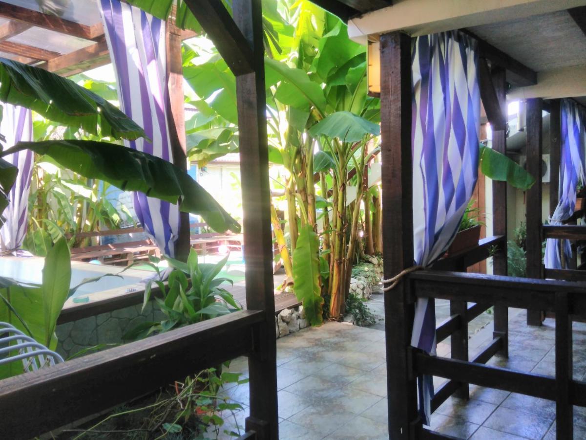 U Palycha Guest House Suchumi Zewnętrze zdjęcie
