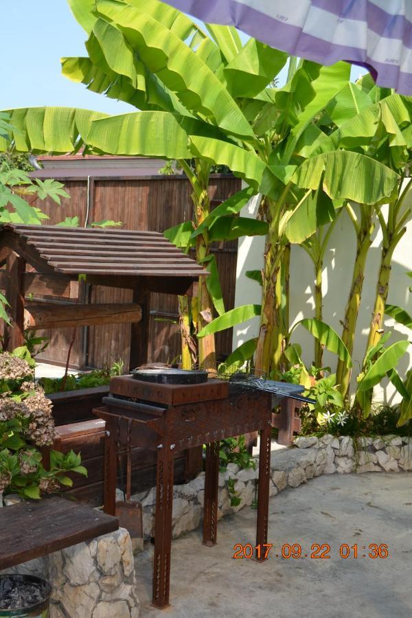 U Palycha Guest House Suchumi Zewnętrze zdjęcie
